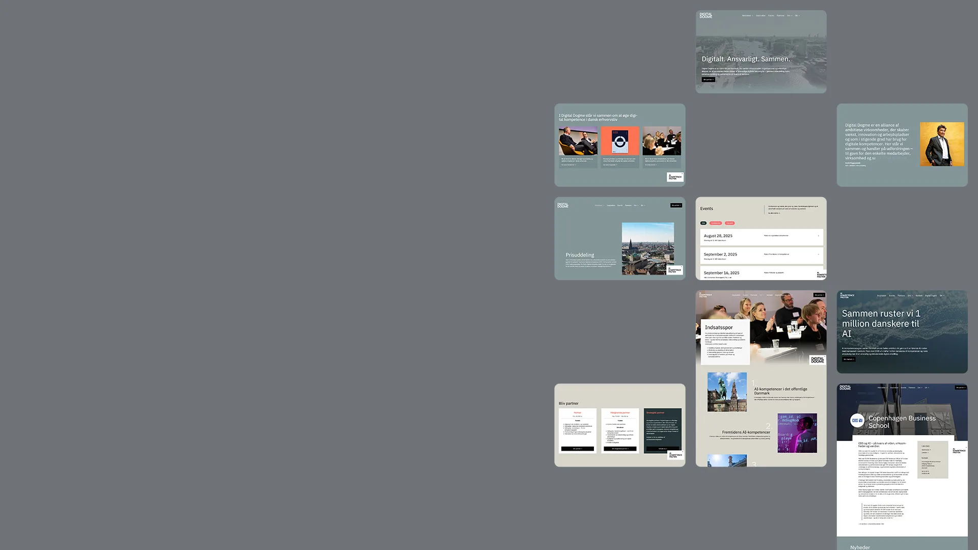 Se Digital Dogme case