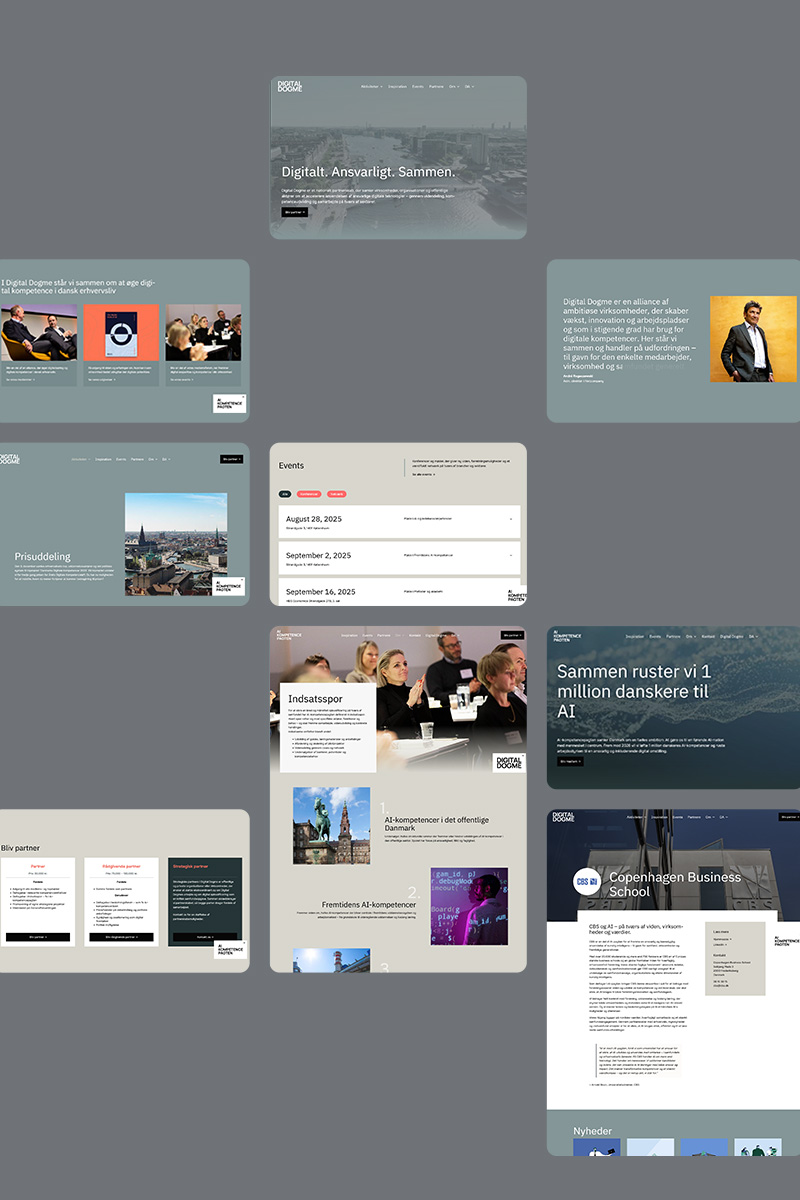 Se Digital Dogme case